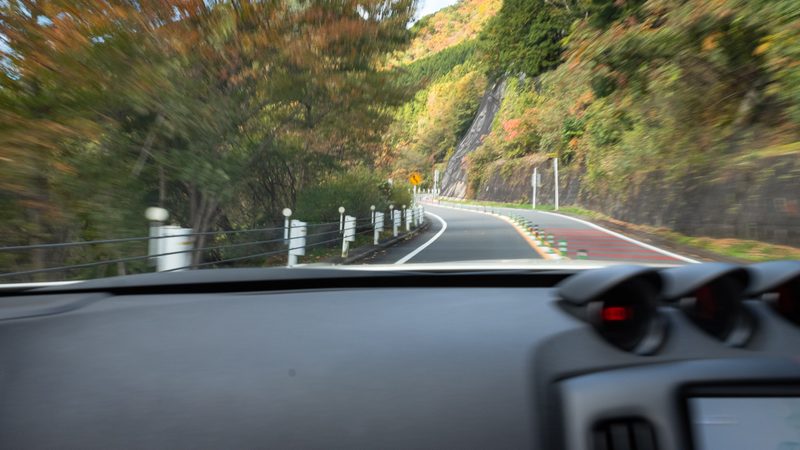 Illustration for article titled There's a Twisting Mountain Road Hiding Inside Japan's Biggest City